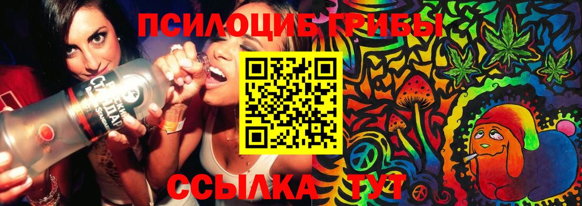 Кулебаки  Галлюциногенные грибы MAGIC MUSHROOMS  Вход с VPN  Псилоцибиновые грибы Cubensis 