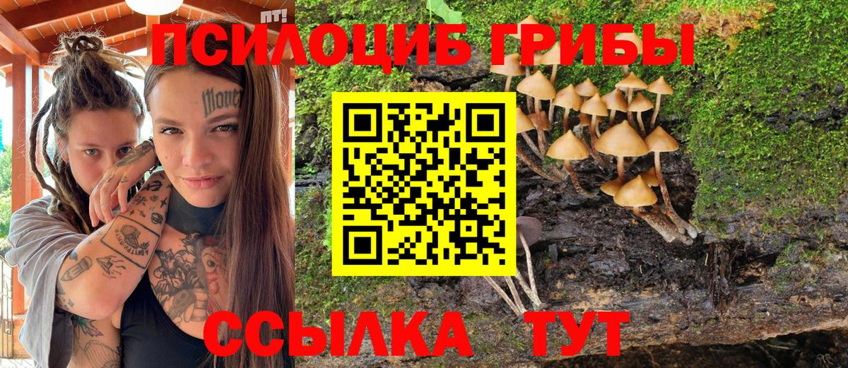 Галлюциногенные грибы ЛСД Кулебаки